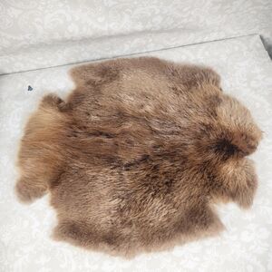 Excellent Condition Real Beaver Pelt